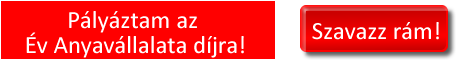 vállalkozás