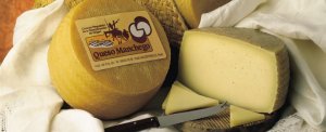 queso manchego, a leghíresebb spanyol sajt